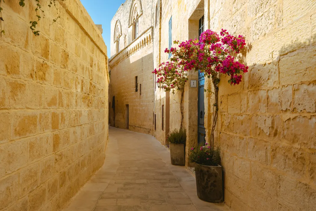 A narrow limestone lane in warm afternoon light with bougainvillea in flower.